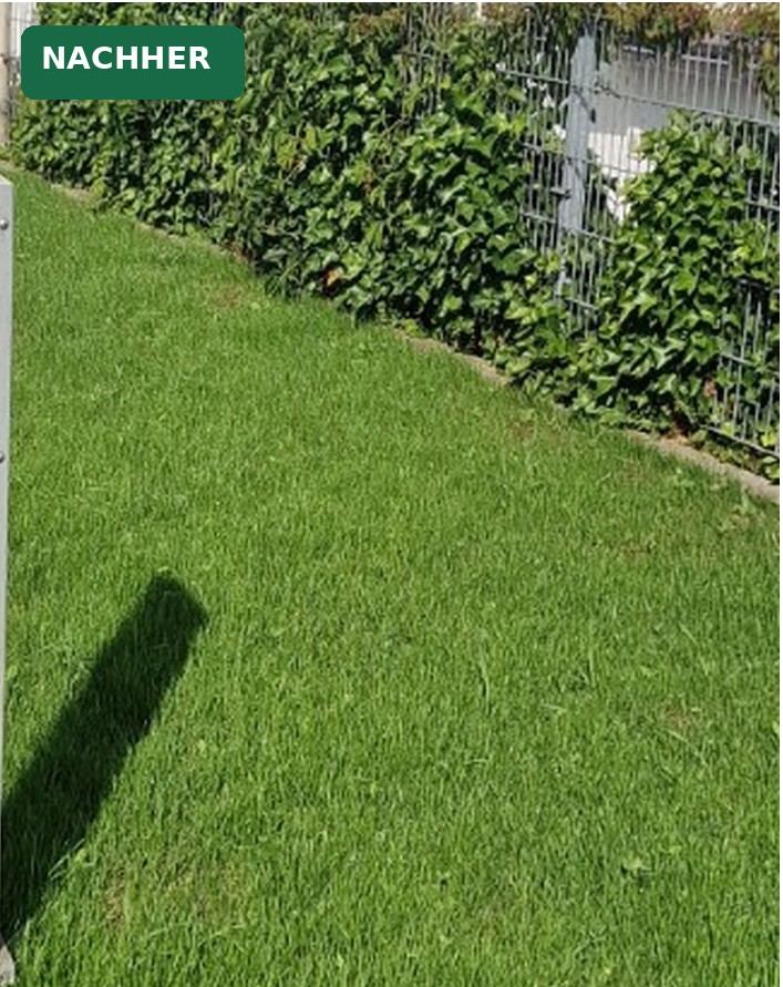 Grünfläche: Nachher