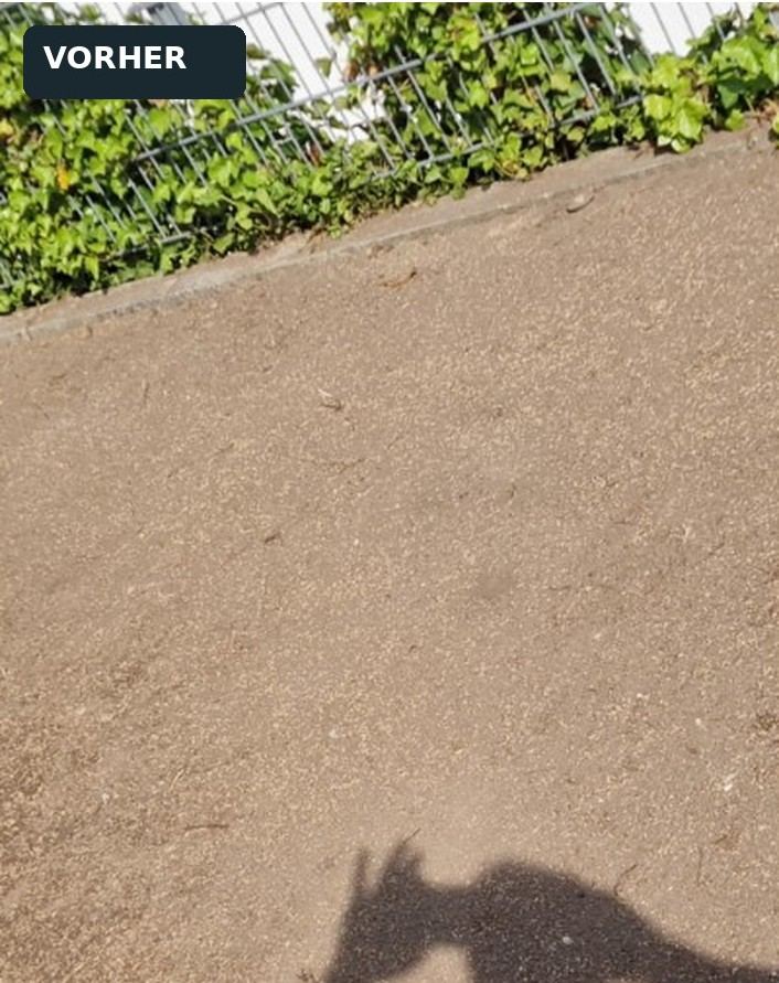 Grünfläche: Vorher