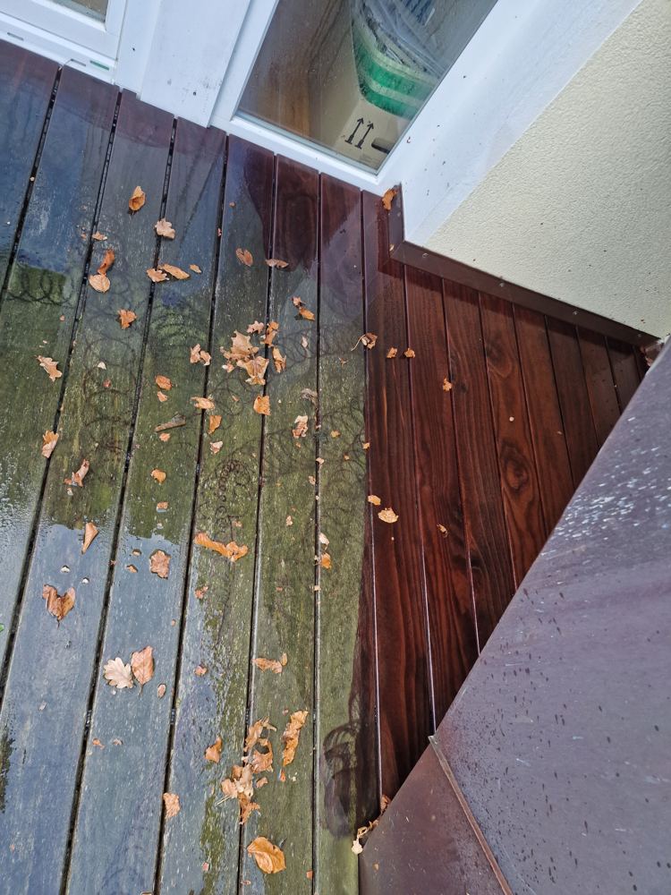 Holzterrasse: links Algen und Laub, rechts gereinigt